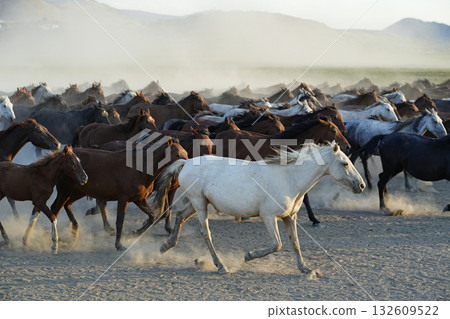 奔騰的駿馬 132609522