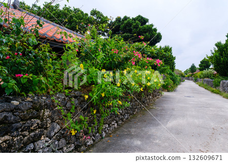 竹富島的景色展現了熱帶地區豐富的自然美景和文化底蘊。 132609671