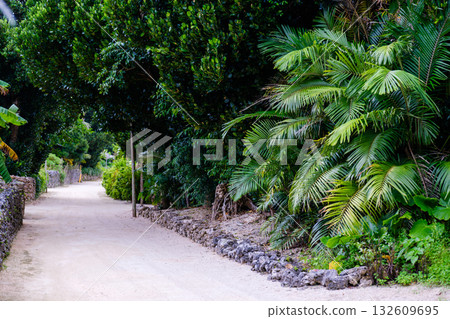 Taketomi Island's scenery captures the rich natural beauty and culture of the tropics 132609695