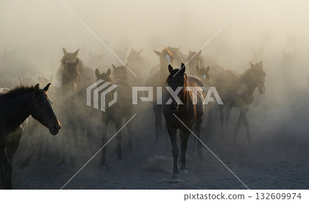 Marching Wild Horses Marching Wild Horses 132609974