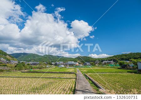 高槻市原地區的田園風光 132610731