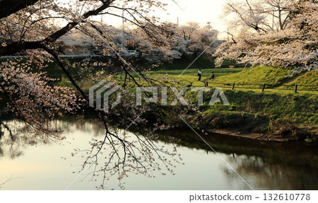 太平川兩岸，櫻花盛開。 132610778