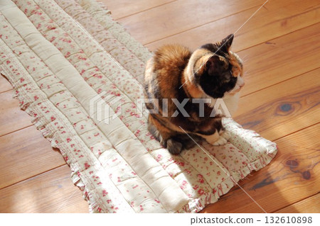 房間裡的貓 132610898