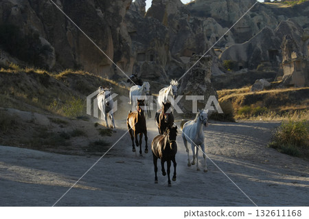 奔跑的阿拉伯人 奔跑的阿拉伯人 132611168