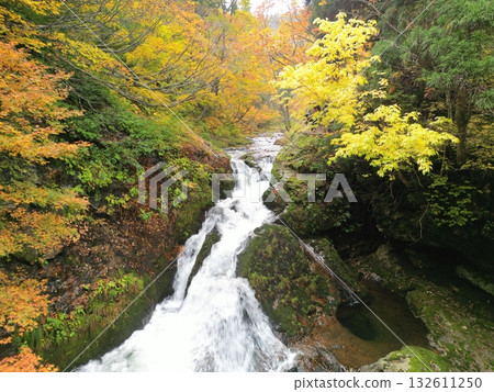 Aerial view of the stream at Ginzan Onsen with autumn leaves 132611250