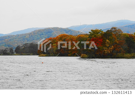 大沼公園的秋葉 大沼公園的秋葉 132611413
