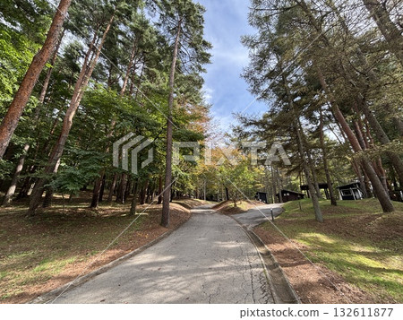 PICA Yatsugatake Akeno 132611877