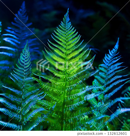 Vibrant Neon Ferns Illuminated in Green and Blue Against a Dark Background 132612601