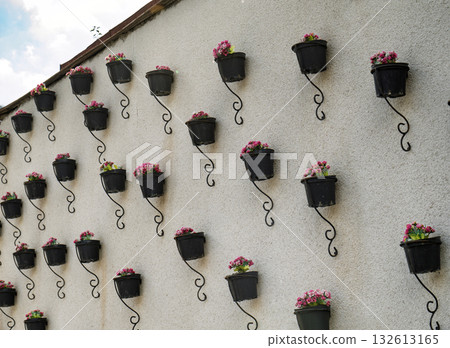 A wall covered in black pots with pink flowers 132613165