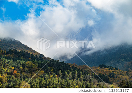 A mountain range with a cloudy sky and trees A mountain range with a cloudy sky and trees 132613177