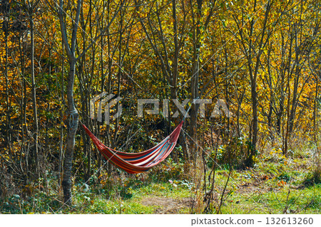 A red and white striped hammock is hanging from a tree in a forest A red and white striped hammock is hanging from a tree in a forest 132613260
