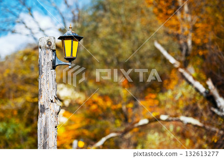 A lamp post with a yellow light is standing in a forest A lamp post with a yellow light is standing in a forest 132613277