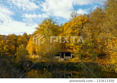 A forest with a cabin in the middle A forest with a cabin in the middle 132613308