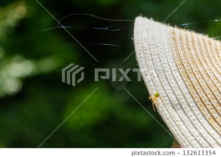 一隻綠色的蜘蛛停在帽子的帽簷上。 一隻綠色的蜘蛛停在帽子的帽簷上。 132613354