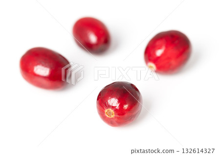 Fresh cranberries, close-up, front view, on white background. Group of four ripe and intense red large cranberries, fruits of Vaccinium macrocarpon, also called bearberries, and American cranberry. 132614327