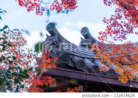 常寂光寺的屋頂和秋葉 132614626