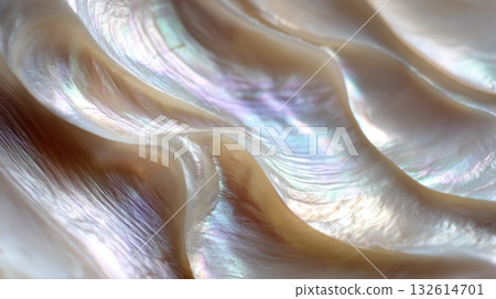 Iridescent shell layers 132614701
