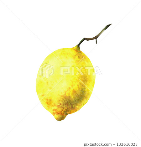 Lemon. Tropical yellow citrus fruit with stalk but without branch and leaves. Realistic watercolor hand painted for menu, package, cosmetic, textile, card design. Isolated from background illustration 132616025