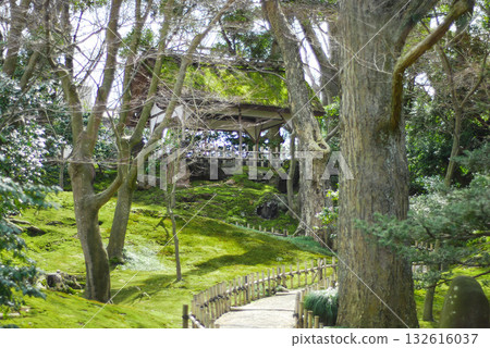 金澤兼六園山崎山：一條蜿蜒於苔蘚山坡的小徑，以及掩映在樹林間的涼亭。 132616037