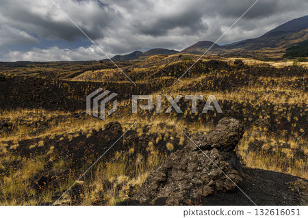 Volcanic Landscape in Etna National Park. 132616051