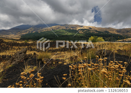 Volcanic Landscape in Etna National Park. Volcanic Landscape in Etna National Park. 132616053