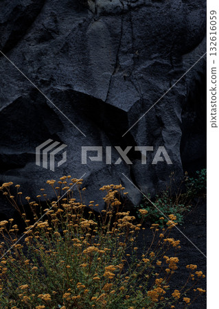 The texture of volcanic lava. Mount Etna. Sicily 132616059