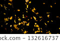 Falling colorful autumn leaves isolated on black background Falling colorful autumn leaves isolated on black background 132616737