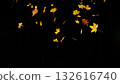 Falling colorful autumn leaves isolated on black background Falling colorful autumn leaves isolated on black background 132616740