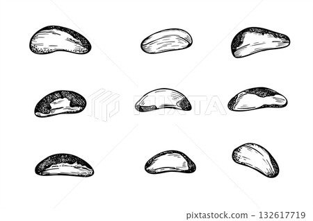 Hand drawn Brazil nut set monochrome vector black and white illustration. Healthy peeled nuts realistic graphic sketch. Raw ingredients for food packaging, cookbooks, health blogs, website design Hand drawn Brazil nut set monochrome vector black and white illustration. Healthy peeled nuts realistic graphic sketch. Raw ingredients for food packaging, cookbooks, health blogs, website design 132617719