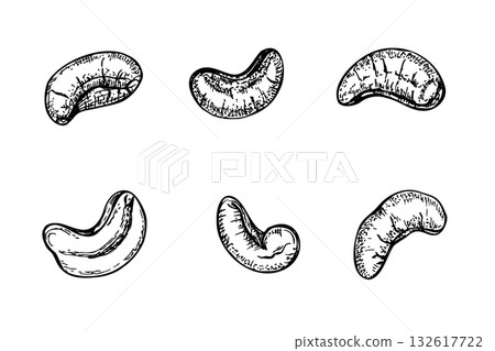 Cashew nuts set monochrome vector isolated line art black ink sketch. Healthy peeled kernel illustration. Exotic healthy superfood for packaging, for fitness website designs, culinary posters Cashew nuts set monochrome vector isolated line art black ink sketch. Healthy peeled kernel illustration. Exotic healthy superfood for packaging, for fitness website designs, culinary posters 132617722