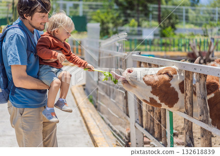 Father and his young son feeding a cow on a farm, enjoying family bonding, animal interaction, and outdoor activity. Wholesome childhood and learning concept 132618839