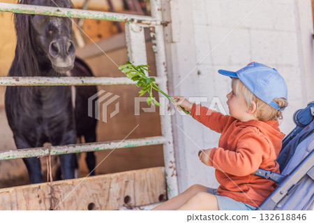 Young boy feeding a foal on a farm, enjoying close animal interaction, nature, and learning responsibility. Family bonding, wholesome childhood, and outdoor activity concept Young boy feeding a foal on a farm, enjoying close animal interaction, nature, and learning responsibility. Family bonding, wholesome childhood, and outdoor activity concept 132618846