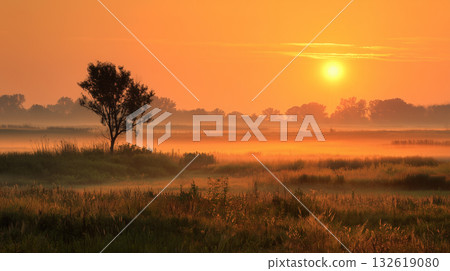 Golden sunrise over vast fields and lone tree in calm morning atmosphere Golden sunrise over vast fields and lone tree in calm morning atmosphere 132619080