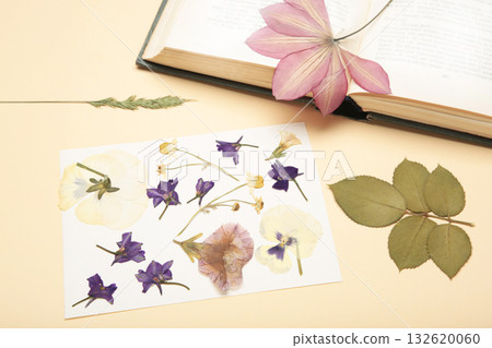 Pressed and dried flowers with twine on beige background. For use in scrapbooking, floristry or herbarium. 132620060