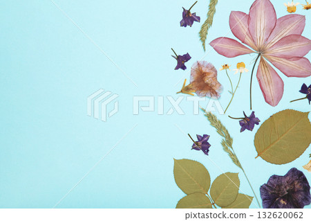 Pressed and dried flowers on blue background. For use in scrapbooking, floristry or herbarium. Pressed and dried flowers on blue background. For use in scrapbooking, floristry or herbarium. 132620062