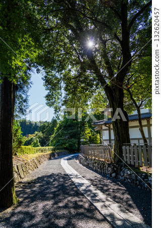 光景山永寶寺院內的景色 132620457