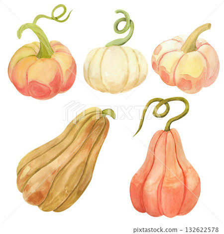 A set of yellow and orange pumpkins. These vibrant, rich pumpkins in natural tones are rendered in a watercolor style. These illustrations are perfect for seasonal merchandise, themed party invitation 132622578