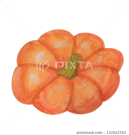 Orange pumpkin with stem. This vibrant, rich pumpkin in natural tones is executed in a watercolor style. This illustration is perfect for seasonal merchandise, themed party invitations, fall menus, an Orange pumpkin with stem. This vibrant, rich pumpkin in natural tones is executed in a watercolor style. This illustration is perfect for seasonal merchandise, themed party invitations, fall menus, an 132622585