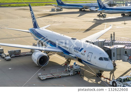 羽田機場景觀，停放的飛機，東京大田區 132622608