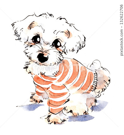 一幅可愛的馬爾濟斯犬插圖,它穿著一件帶邊飾的毛衣。 一幅可愛的馬爾濟斯犬插圖,它穿著一件帶邊飾的毛衣。 132622706