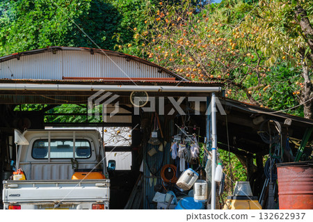Light truck and persimmons 132622937