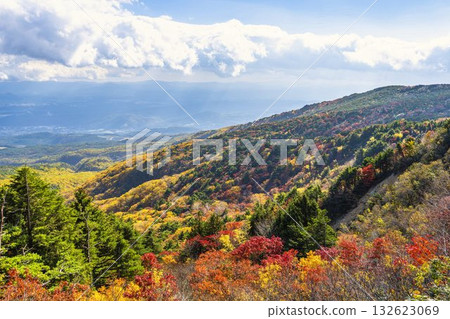 福島縣福島市磐梯吾妻天際線的秋葉 福島縣福島市磐梯吾妻天際線的秋葉 132623069