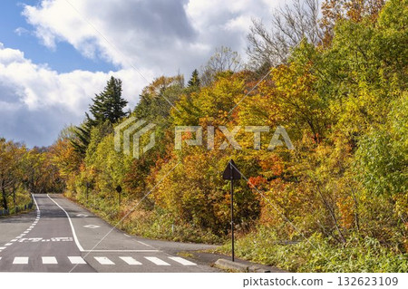 Autumn leaves on the Bandai-Azuma Skyline in Fukushima City, Fukushima Prefecture 132623109