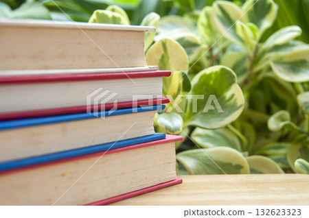 Stack of books and black clock on table with green leaves background with customizable space for text or ideas. Stack of books and black clock on table with green leaves background with customizable space for text or ideas. 132623323