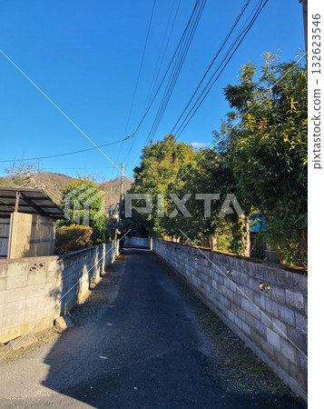 鄉村小路 鄉村小路 132623546