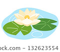 Illustration of white water lilies floating in a pond Illustration of white water lilies floating in a pond 132623554