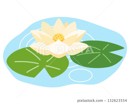 Illustration of white water lilies floating in a pond 132623554