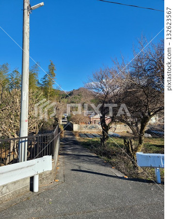 A melancholic road in the countryside 132623567
