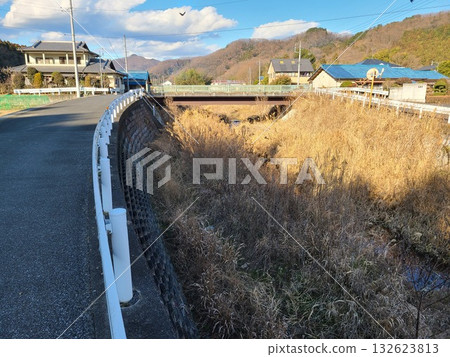 A melancholic autumn road in the countryside 132623813