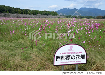 Saikihara的宇宙 Saikihara的宇宙 132623991